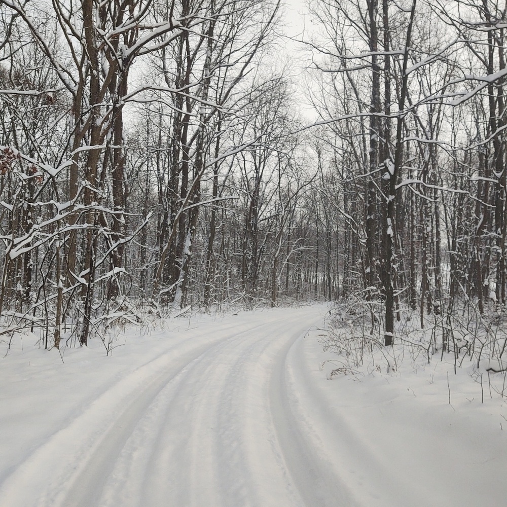 Meet your Posher, Terri